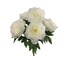 2PC 20" Peony Bush w/ 5 Silk Blooms – Elegant Spring Floral Decor